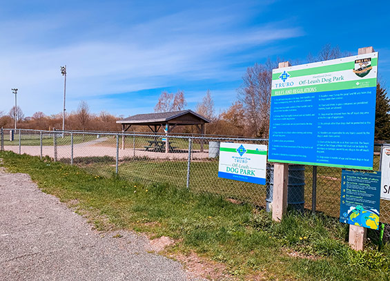 Truro Bible Hill Off Leash Dog Park