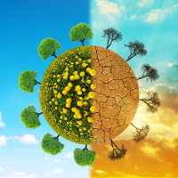 Climate Risk Assessment