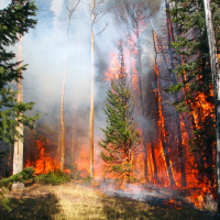 Wildfire Protection Plan