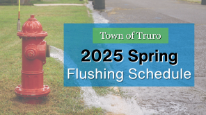 2025 Spring Flushing Schedule 